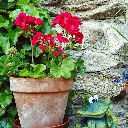 Venkovský dům La Casa De Piedra Navarredonda de Gredos