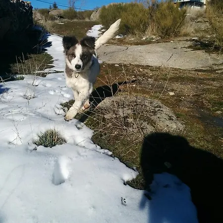 La Casa De Piedra Navarredonda de Gredos