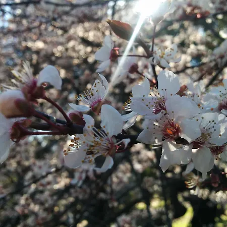 Venkovský dům La Casa De Piedra *
