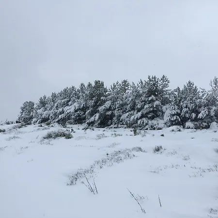 Kır Evi La Casa De Piedra Navarredonda de Gredos