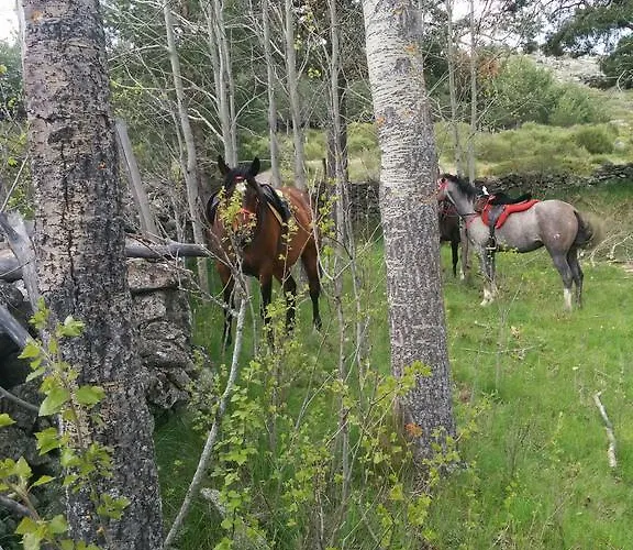 La Casa De Piedra 나바레돈다 데 그레도스