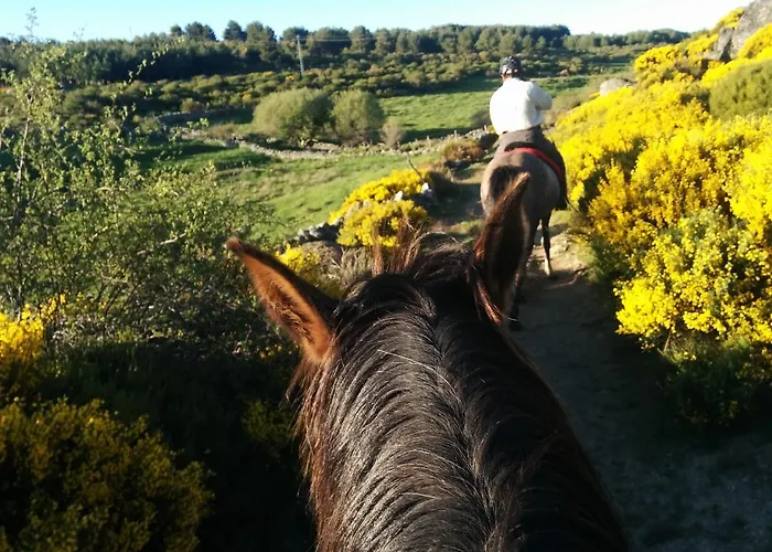 컨트리하우스 La Casa De Piedra *