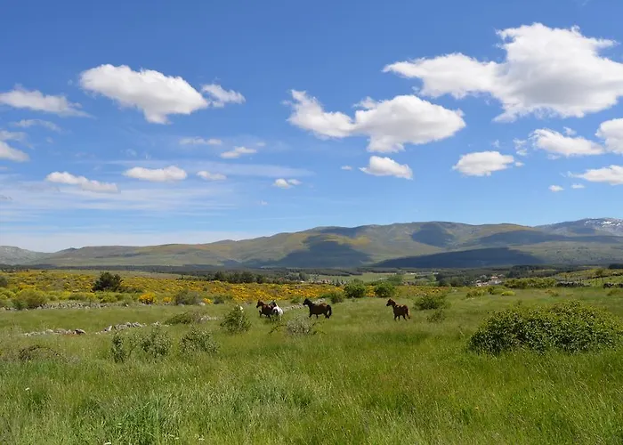 컨트리하우스 La Casa De Piedra