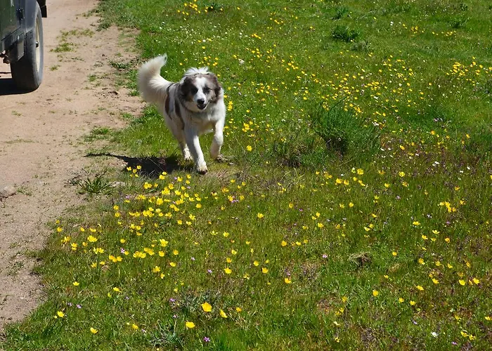 La Casa De Piedra 나바레돈다 데 그레도스
