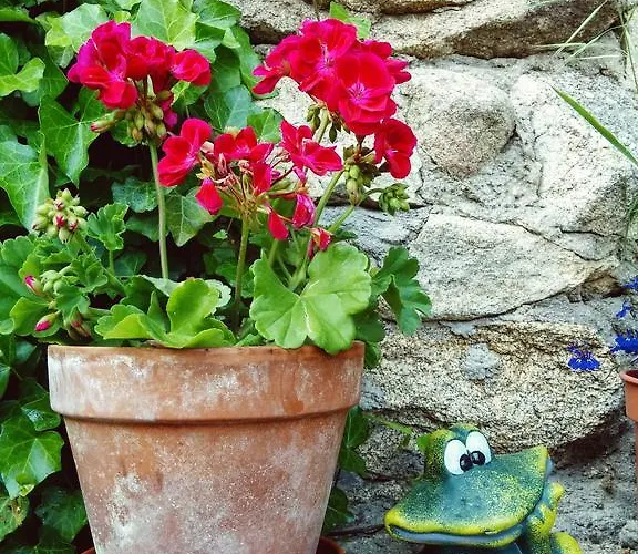 컨트리하우스 La Casa De Piedra 나바레돈다 데 그레도스