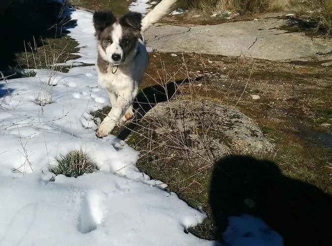 La Casa De Piedra 나바레돈다 데 그레도스