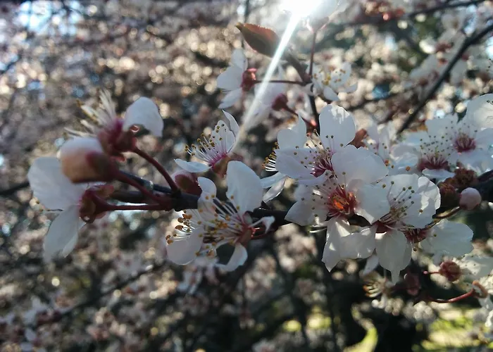 컨트리하우스 La Casa De Piedra *